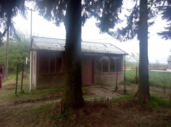 zdjęcie w konkursie Remont roku